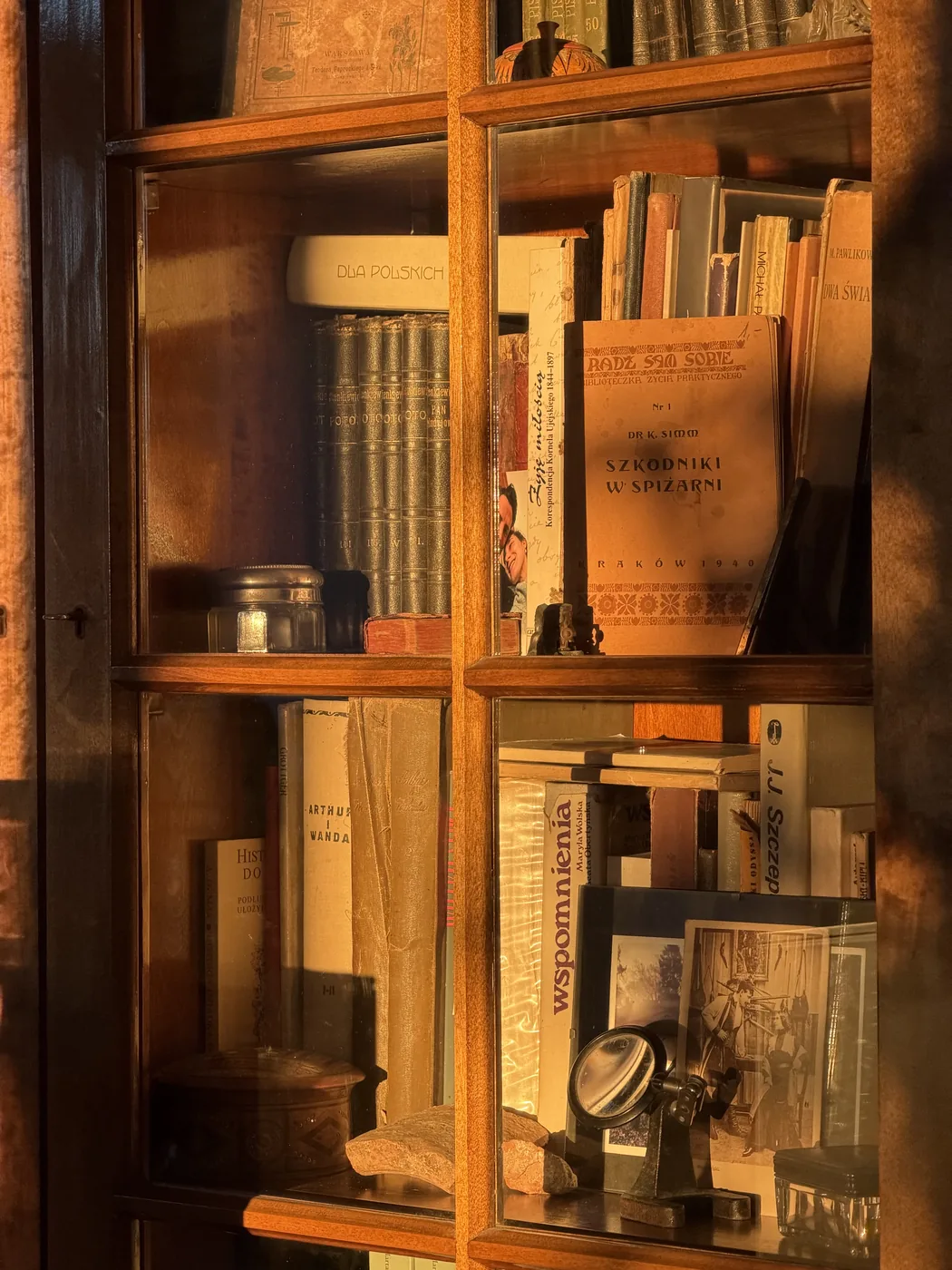 Aktywności w dworze